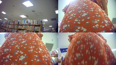 Japanese upskirt u-1684-