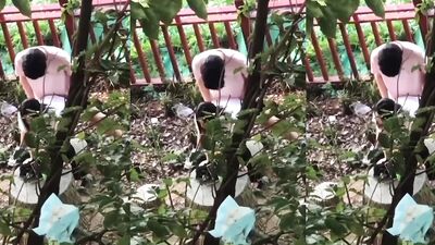 young asian couple caught fucking in the forest