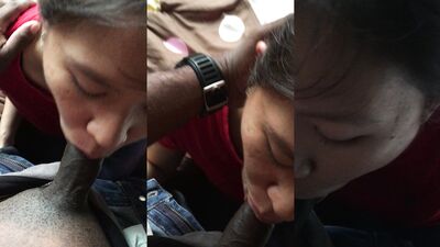 sg gal suck black dick