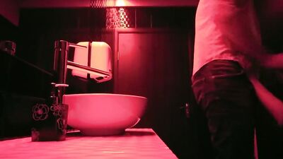 Couple having sex in the restroom